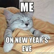 New Year Meme